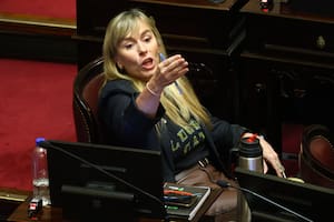 Una senadora presentó un proyecto para que en algunas carteras esté prohibido contratar extranjeros