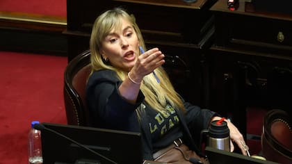 Una senadora presentó un proyecto para que en algunas carteras esté prohibido contratar extranjeros