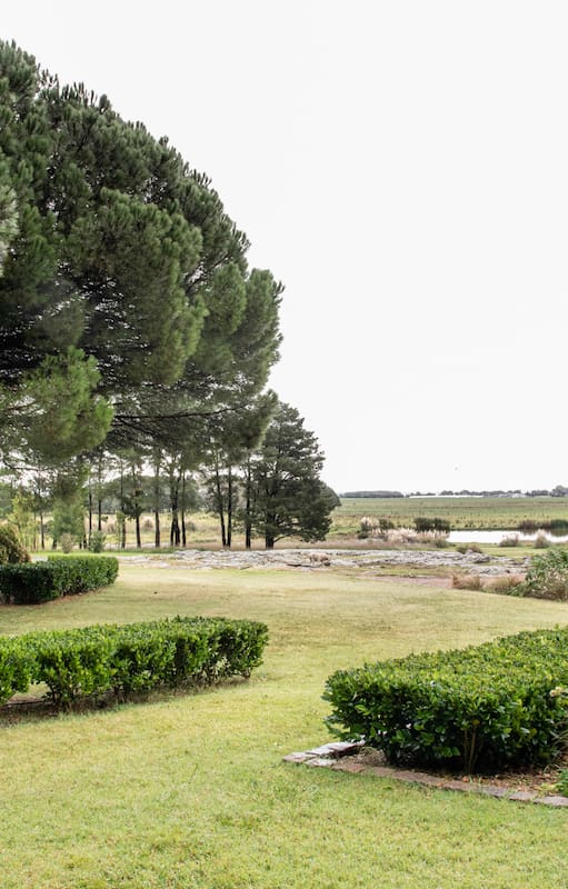 Una serie de cercos curvos de Ligustrum texanum envuelven el sector del fogón y definen los canteros con plantación naturalista. También remiten a los montes oscuros que se ven en el horizonte. A lo lejos se llega a ver el lago.