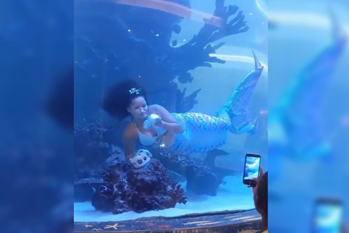 Una sirena casi sufre un accidente en pleno show (Captura video)