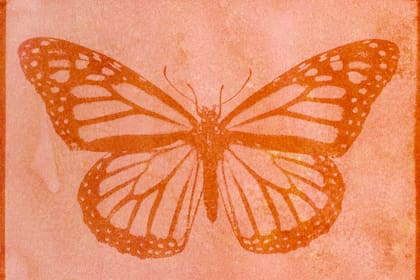 Una técnica sencilla y sustentable que permite experimentar con fotografía sin químicos industriales