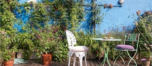 Cómo hacer que una terraza parezca más verde sin comprar más plantas