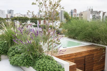 Las piletas o jacuzzis pueden rodearse de decks para brindarle una mejor estética al espacio
