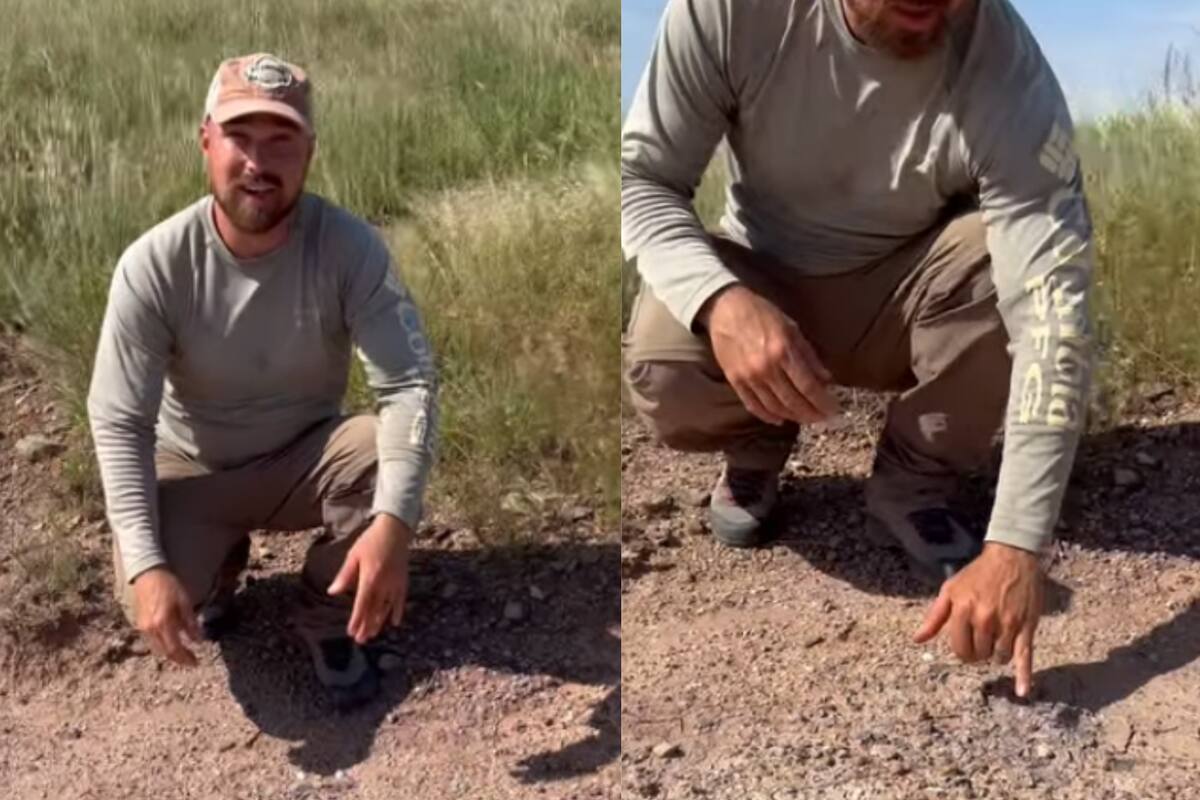 Una tormenta en Texas dejó al descubierto el cráneo fósil de un Eryops megacephalus