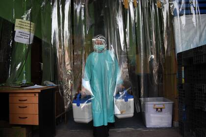 Una trabajadora de la salud entrega contenedores de vacunas contra la Covid-19 producidas por Sinovac de China, desde una cámara fría en Bandung, Indonesia, el 13 de enero de 2021