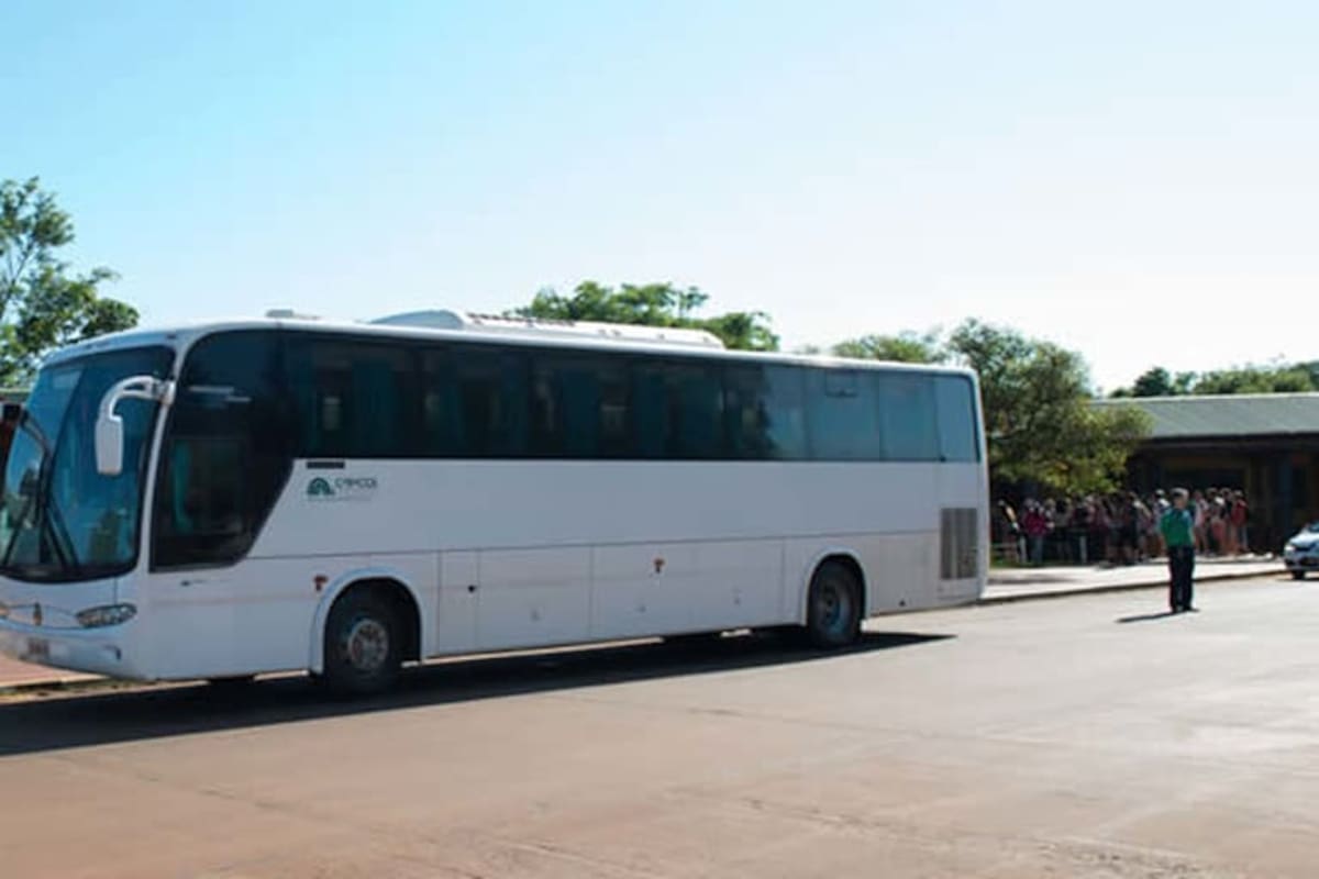 Una tradicional empresa de turismo de Puerto Iguazú, Caracol Internacional, pagó una multa récord de $20 millones