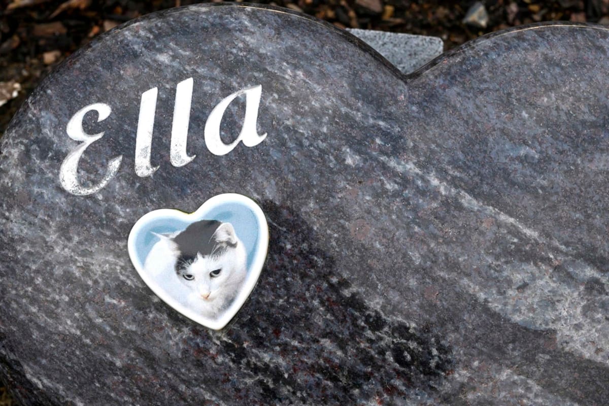 Una tumba de una mascota en forma de corazón el cementerio de Tierhimmel ("Animal Heaven") en Teltow, a las afueras de Berlín