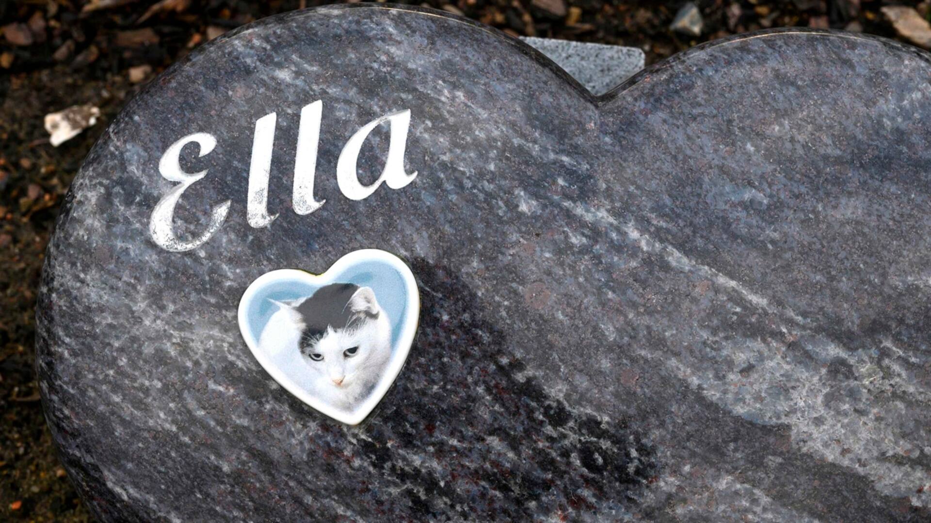 Una tumba de una mascota en forma de corazón el cementerio de Tierhimmel ("Animal Heaven") en Teltow, a las afueras de Berlín