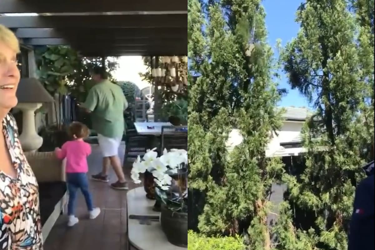 Una usuaria de TikTok descubrió una pitón de cinco metros arriba de su techo