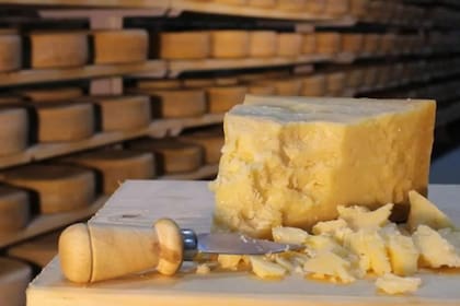Una usuaria de Twitter criticó la elaboración del queso parmesano y recibió algunas críticas al respecto