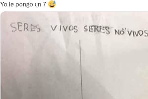 Una usuaria de Twitter mostró un ejercicio escolar, cuya respuesta se transformó en viral.
