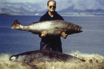 Una vaquita marina muerta como consecuencia de una red de pesca. Foto:WWF