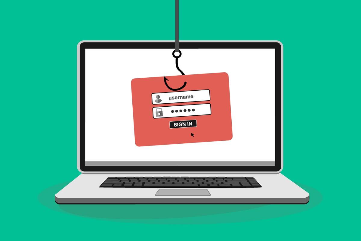 Una variante del phishing, que apunta a altos ejecutivos, se denomina whaling