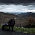 La región española donde investigan por qué tantos habitantes superan los 100 años