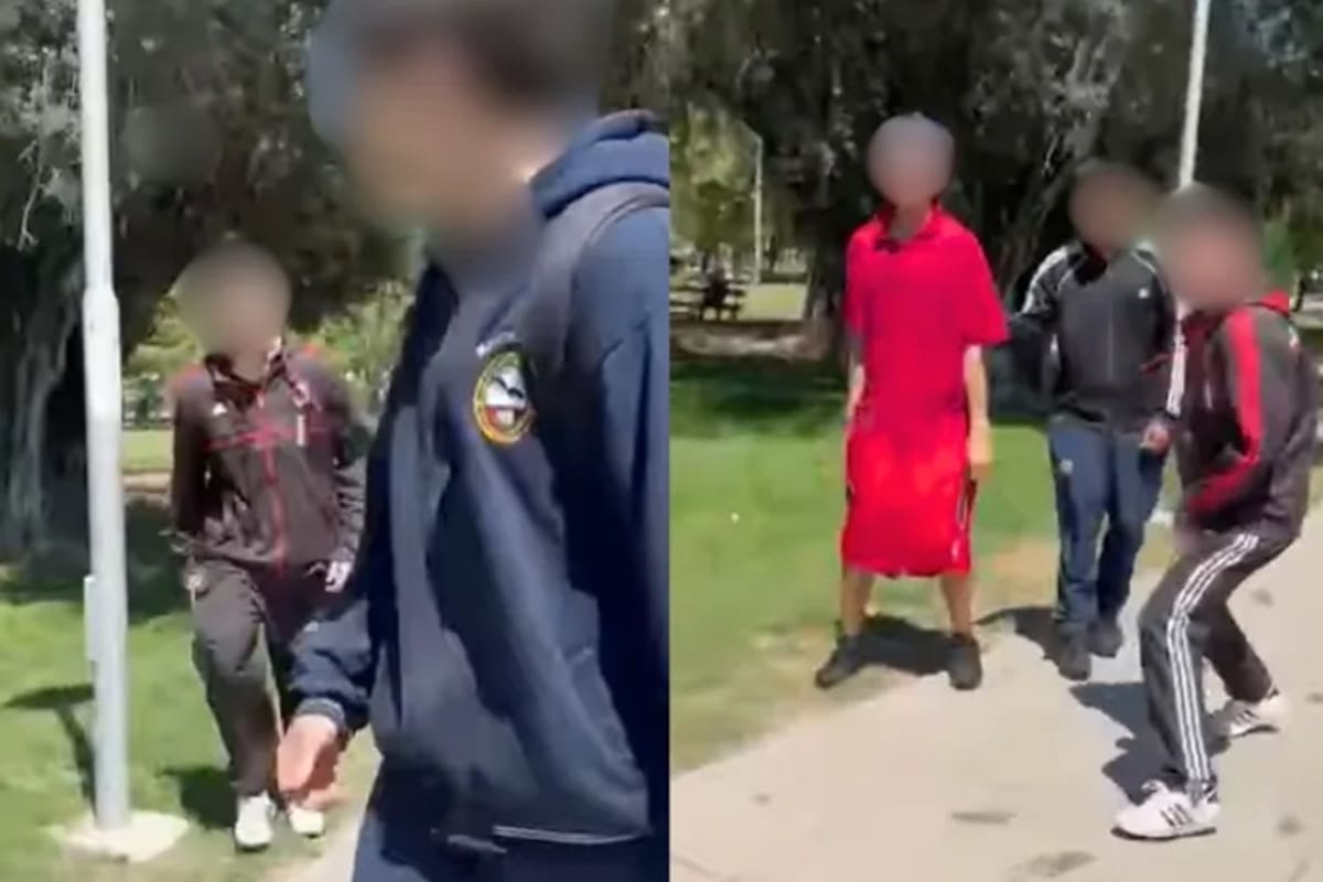 Una veintena de adolescentes de dos escuelas mendocinas a los golpes en un parque