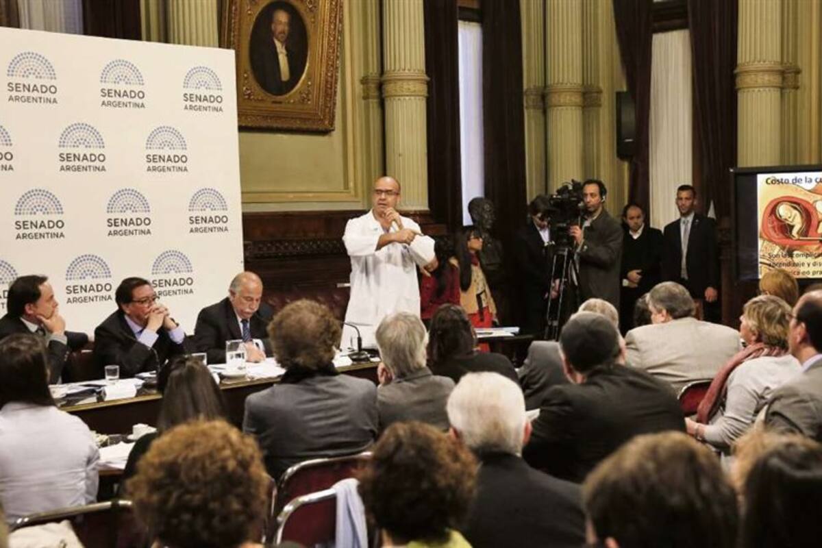 Una veintena de expositores plantearon ayer sus argumentos a favor y en contra de la iniciativa