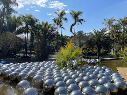 Una versión del Jardín de Narciso con el que Kusama participó de la Bienal de Venecia en 1966, al aire libre en Inhotim