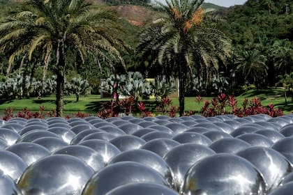 Una versión del Jardín de Narciso con el que Kusama participó de la Bienal de Venecia en 1966, al aire libre en Inhotim