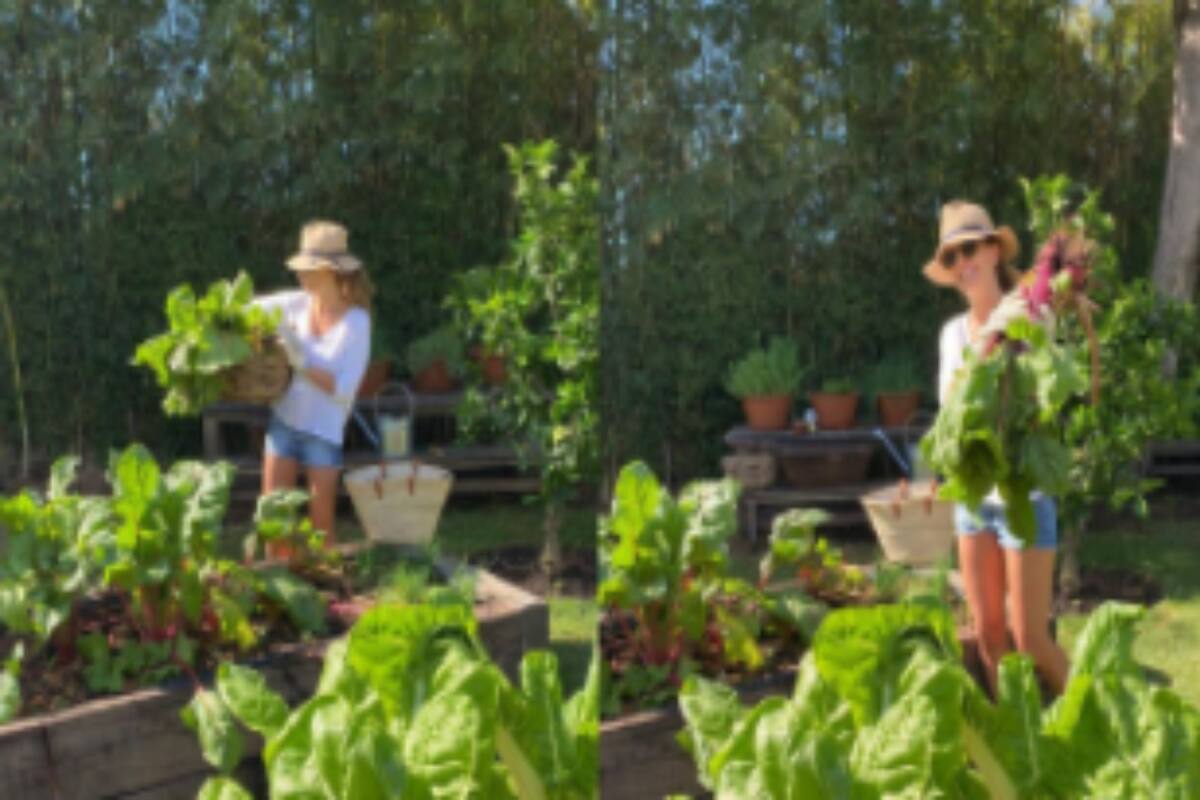 Una vez más, Juliana Awada se mostró trabajando en su huerta en las redes sociales, pero además compartió el resultado final de su cosecha en dos platos saludables