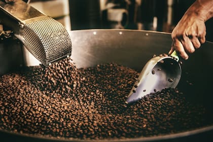 Una vez más, la nobleza del café