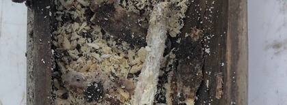 Una vez removida la tapa, los arqueólogos descubrieron una vela de cera de abejas en el interior de la caja
