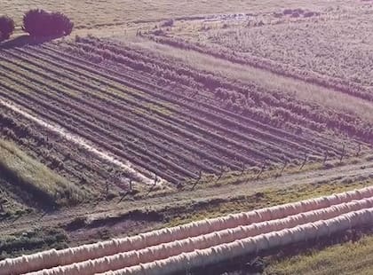 Una vista aérea del campo de Arrecifes