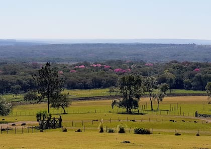 Una vista de la estancia donde se hace la producción ovina