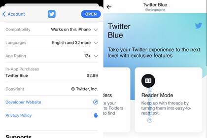 Una vista de Twitter Blue en iOS, según unas capturas publicasas por Jane Manchun Wong
