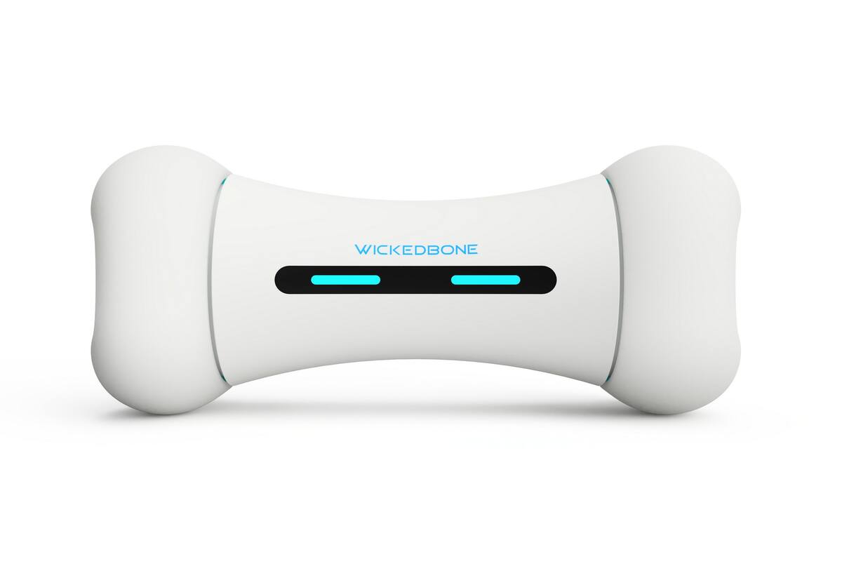 Una vista de Wickedbone, el hueso inteligente conectado a un smartphone que promete mantener entretenida a tu mascota