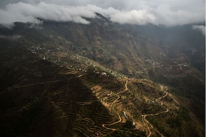 La disminución de la población rural y el cambio climático estaban empujando a los agricultores japoneses a abandonar sus parcelas