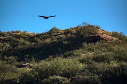 Una vista del Parque Nacional Las Quijadas