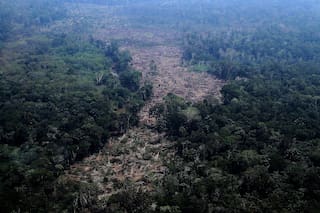 La elección en Brasil podría definir el futuro de la Amazonía, advierten científicos