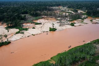 Una operación de Interpol contra delitos ambientales deja 233 detenidos en Latinoamérica y el Caribe