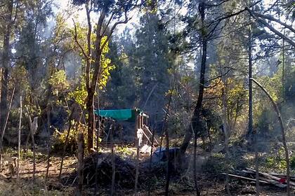 Unas 160 familias tomaron dos predios de una reserva forestal en El Bolsón