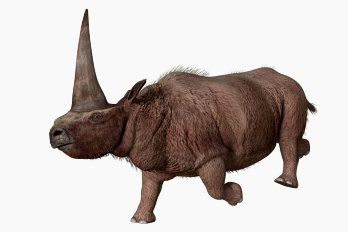 unicornios
