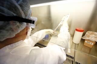 En junio, procesaban muestras el 50% de los laboratorios que informó el Gobierno