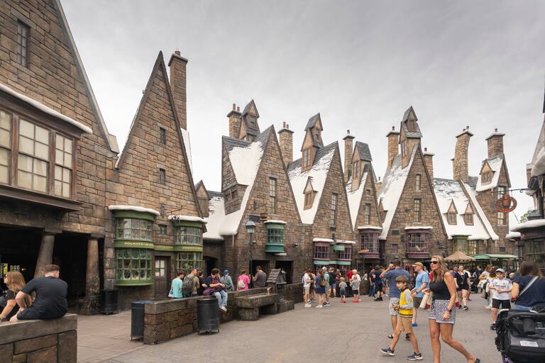 Universal Studios Florida homenajea al cine y la TV y se organiza en ocho áreas: The Wizarding World of Harry Potter-Diagon Alley, Illumination’s Minion Land, DreamWorks Land, Springfield, USA: Home of the Simpsons, Hollywood, San Francisco, New York y World Expo.