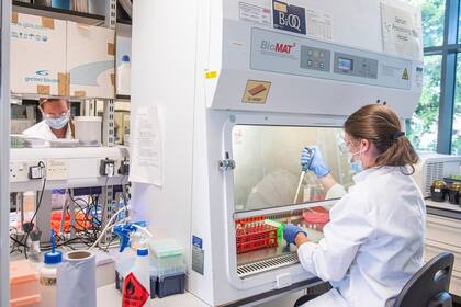 La Universidad de Oxford consiguió buenas respuestas con sus ensayos clínicos para producir una vacuna contra el coronavirus