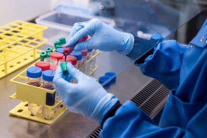 Coronavirus: la Universidad de Oxford también consiguó los primeros resultados positivos según un informe presentado este lunes