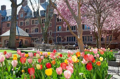 Universidad de Yale