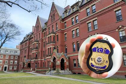 Universidad de Harvard y placa del ICE