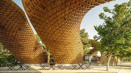 Universidad en la India