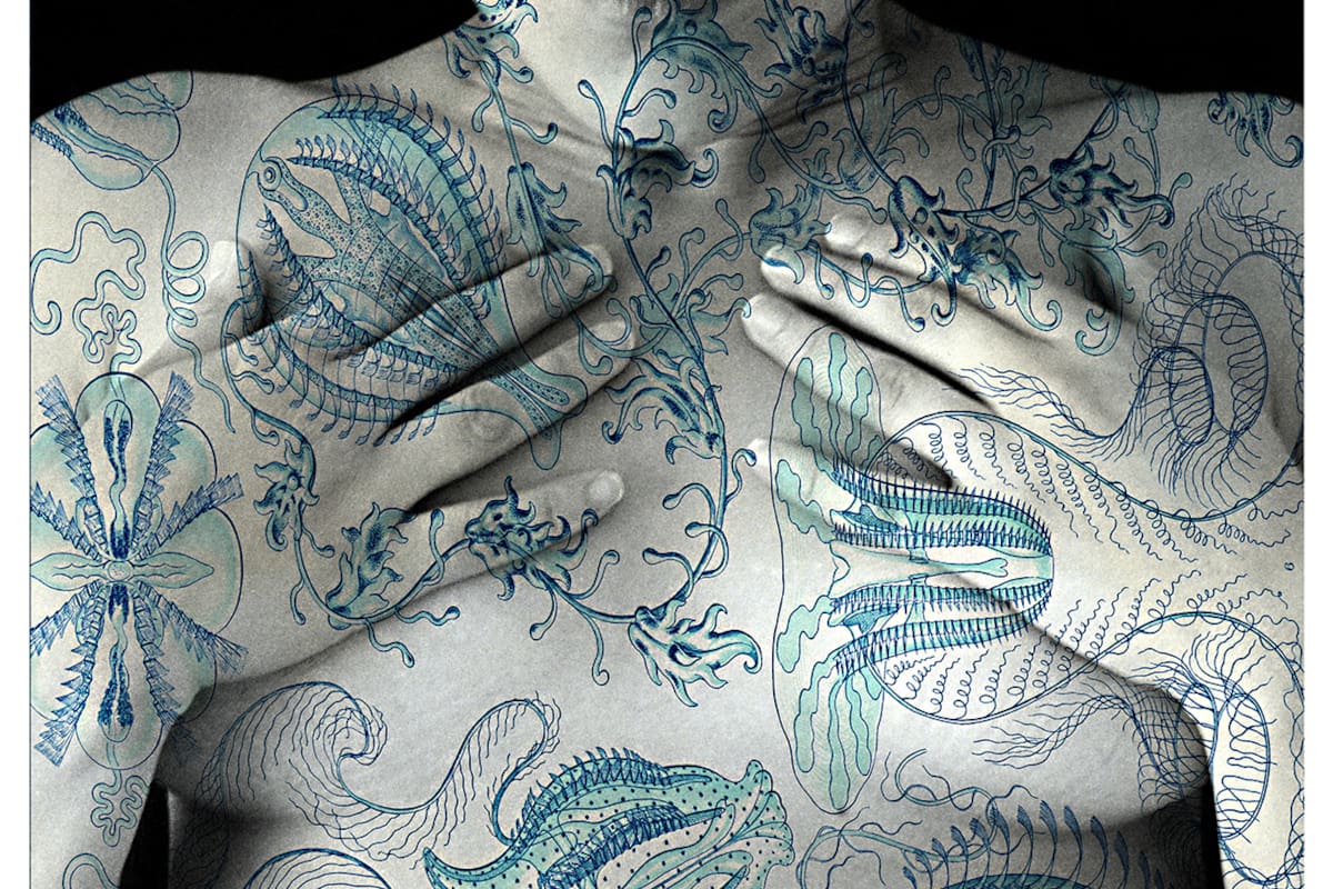 Universus #13, fotografía de Tatiana Parcero, artista representada por diderotart.mx