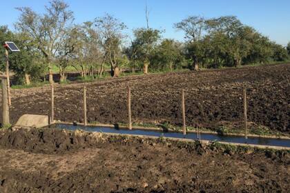 Uno de los bebederes donde se instaló el sistema de sensores que avisa si no hay agua