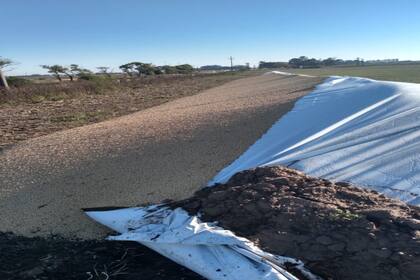 Uno de los bolsones vandalizados a los hermanos Florio
