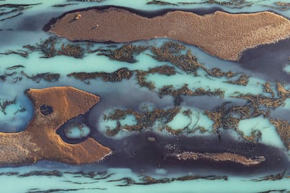 Uno de los bosques sumergidos visto desde arriba