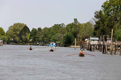Uno de los brazos del Delta