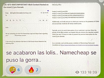 Uno de los canales de Telegram a los que accedió LA NACION
