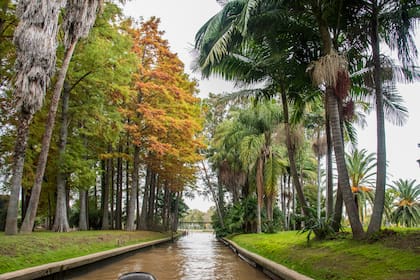 Uno de los canales entre los árboles de la isla.