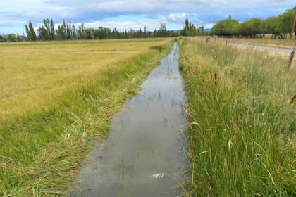 Uno de los canales que provee agua de los glaciares